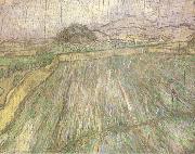 Vincent Van Gogh Wheat Field in Rain (nn04) USA oil painting reproduction